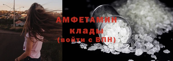 прущие грибы Орск