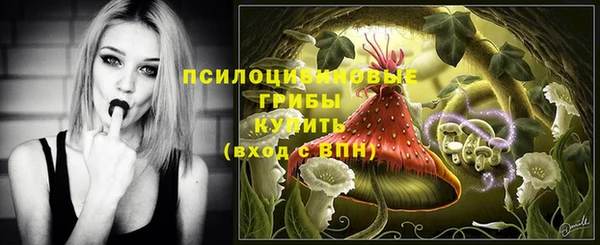 прущие крисы Алексеевка